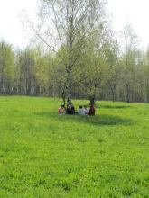 Pôle Environnement : Appel à candidatures