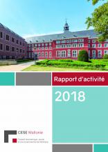 Rapport d'activité 2018