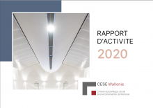 Rapport d'activité 2020