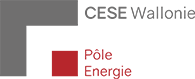 CESE Wallonie - Conseil économique, social et environnemental de Wallonie